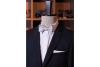 Mucha wiązana - jasnoszara