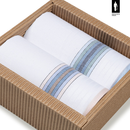 Bawełniane chusteczki męskie w różowe oraz błękitne paski – zestaw 2 sztuk