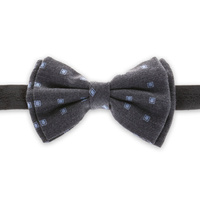 Szara mucha, drobne kwadraty