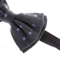 Szara mucha, drobne kwadraty