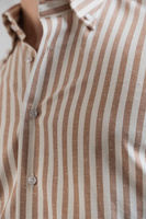 Koszula w brązowe szerokie paski Button Down