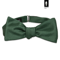 Zielona gładka mucha wiązana