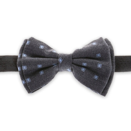 Szara mucha, drobne kwadraty