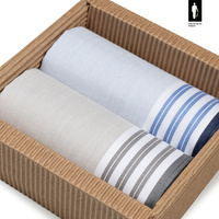 Bawełniane chusteczki męskie w szare oraz niebieskie paski – zestaw 2 sztuk